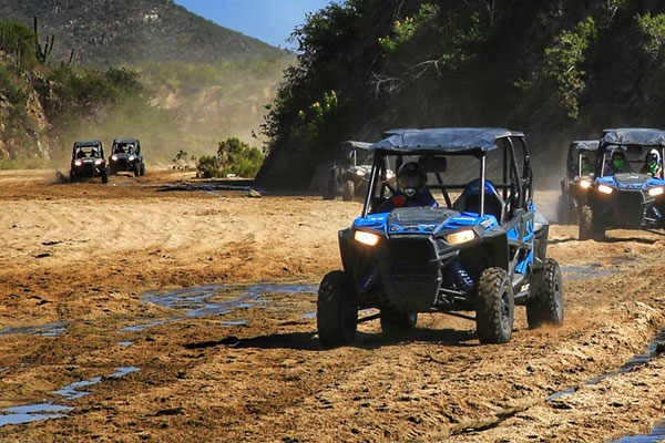 Cabo Adventures Activities