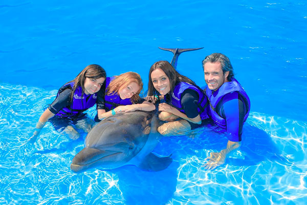 Cabo Dolphins Swim with Dolphins