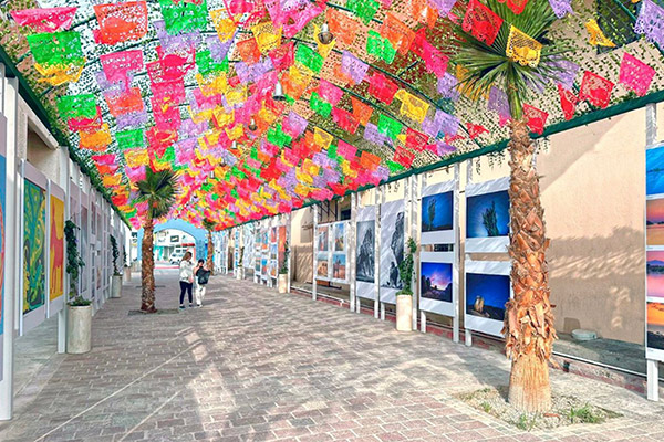 The Place at Cabo Development